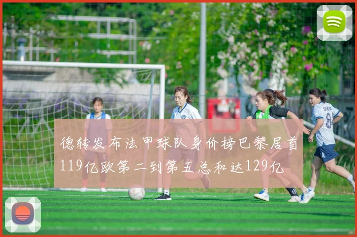德转发布法甲球队身价榜巴黎居首119亿欧第二到第五总和达129亿