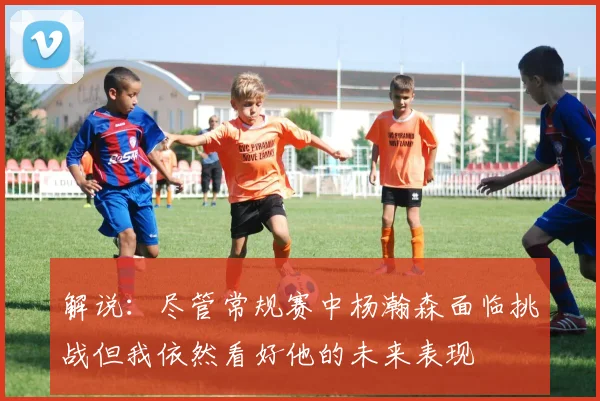 解说：尽管常规赛中杨瀚森面临挑战但我依然看好他的未来表现